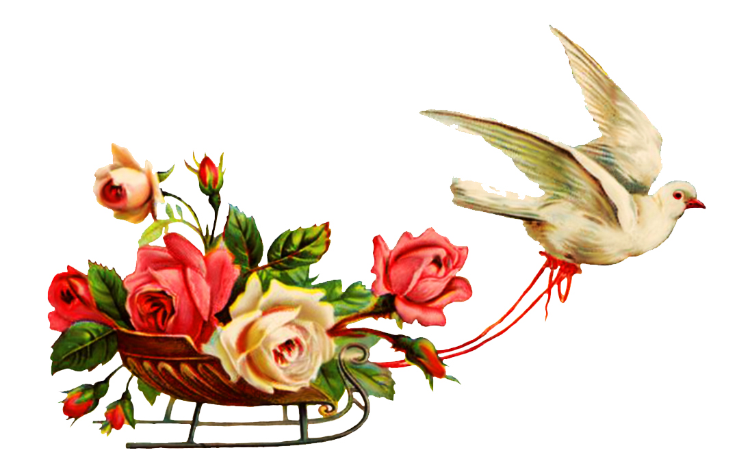 free clipart of wedding flowers - photo #8