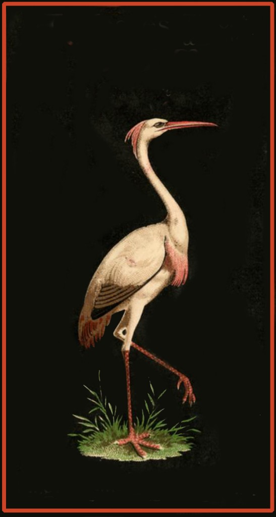Printabel postcard of a crane black background