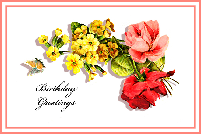 Birthday greetings card