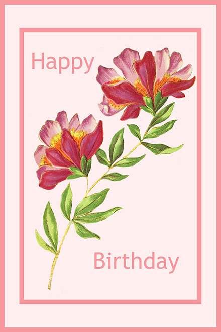 Happy birthday flower card